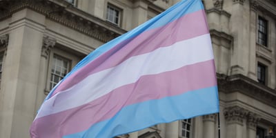 GOP Overrides Arkansas Governor's Veto on Trans Gender-Affirming Care Bill